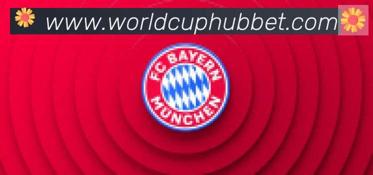 2026世界杯竞猜入口合作伙伴